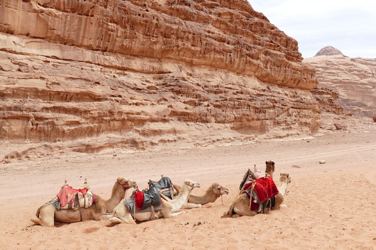 Expect to get Wet if hiking Wadi Mujib. Lifejackets are provided and must be worn. You are going to want them as the current is strong and the water deep in some parts of this water hike.
